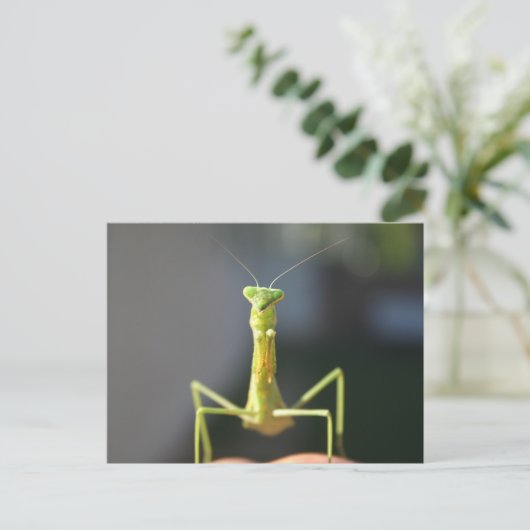 Bug dich postkarte (Stehend Vorderseite)