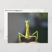 Bug dich postkarte (Vorne/Hinten)