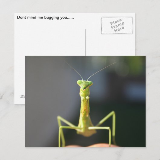 Bug dich postkarte (Vorne/Hinten)