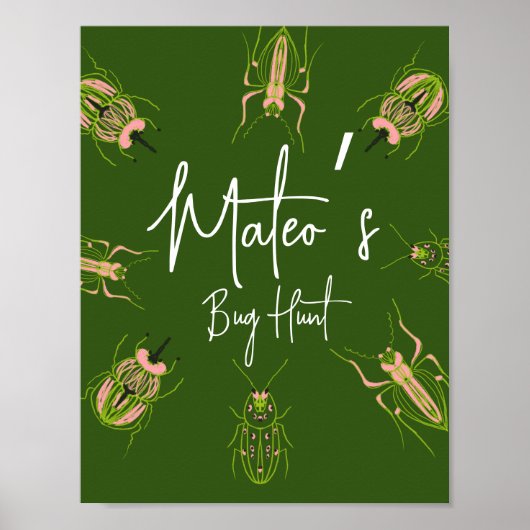 Bug Hunt Insect Birthday Hand Drawn Party Poster (Vorne)