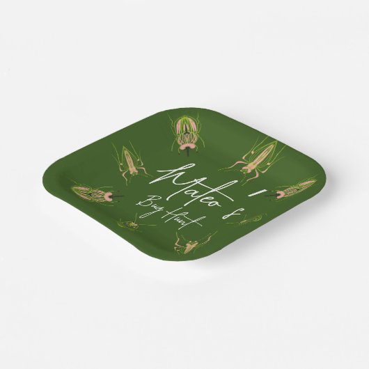 Bug Hunt Insect Geburtstaghandziehen Pappteller (Gewinkelt)