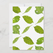 Bug Insect Einladung zum Geburtstag (Rückseite)