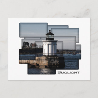 Bug Light Painting Postkarte