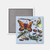 Bug Magnet (Vorderseite/Rückseite)