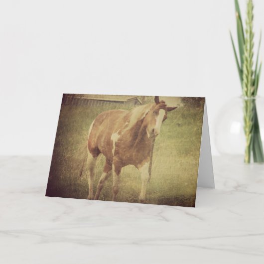 Bug mich nicht, paint Horse Shakes Head Karte (Vorderseite)