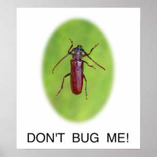 "Bug mich nicht!" Poster