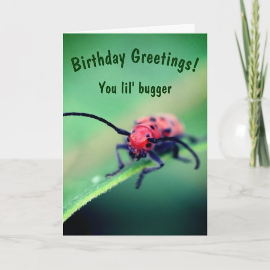 Bug mit Attitude-Niedliche Geburtstag Karte (Vorderseite)