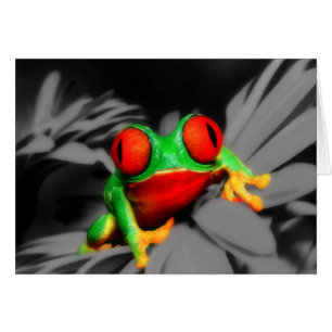 Bug-Mit Augen Frog