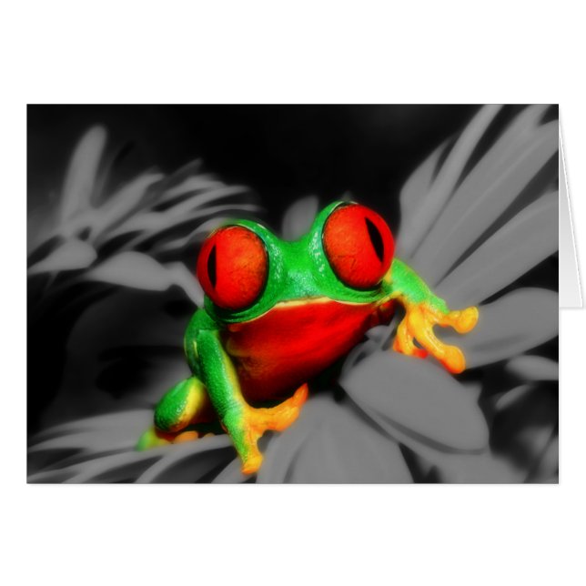 Bug-Mit Augen Frog (Vorderseite (Horizontal))