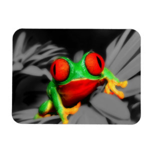 Bug-Mit Augen Frog Magnet