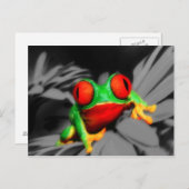 Bug-Mit Augen Frog Postkarte (Vorne/Hinten)