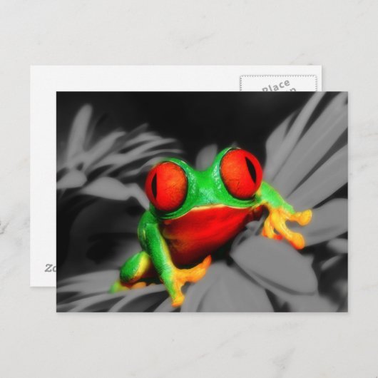 Bug-Mit Augen Frog Postkarte (Vorne/Hinten)