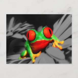 Bug-Mit Augen Frog Postkarte