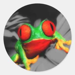 Bug-Mit Augen Frog Runder Aufkleber