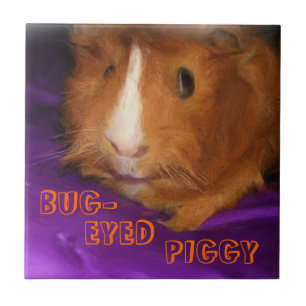 BUG-MIT AUGEN Guinea PIGGY Fliese
