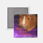 Bug-Mit Augen Guinea Schweinefleisch Magnet (Vorderseite/Rückseite)