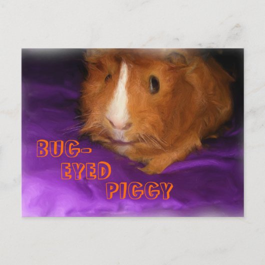 BUG-MIT AUGEN PIGGY-Postkarte Postkarte (Vorderseite)