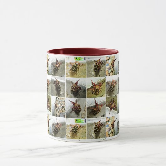 Bug Off: June Bug Beetle Insect Foto Collage Tasse (Zentrum)