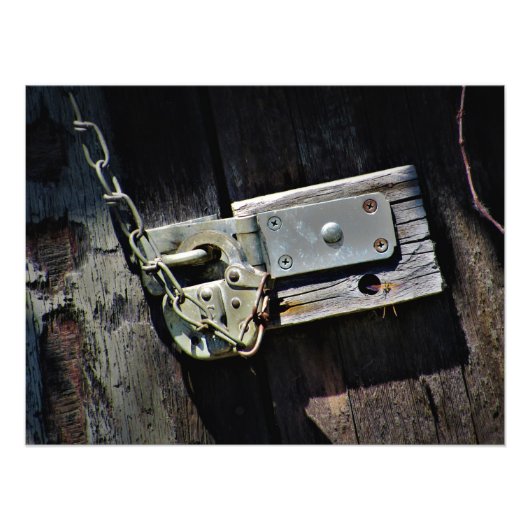 "Bug Out" Fotodruck (Vorne)