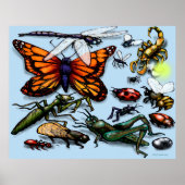 Bug Poster (Vorne)