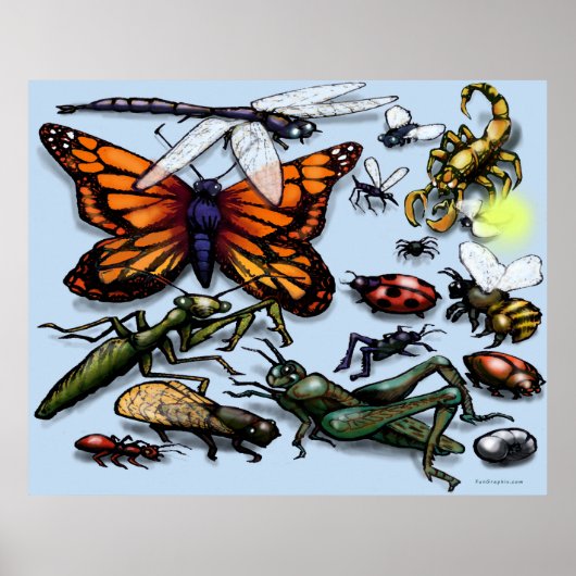 Bug Poster (Vorne)
