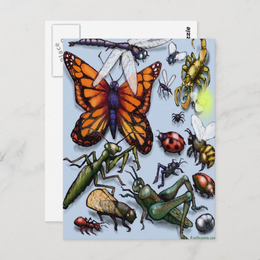 Bug Postkarte (Vorne/Hinten)