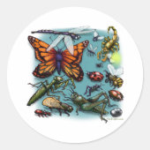 Bug Runder Aufkleber (Vorderseite)