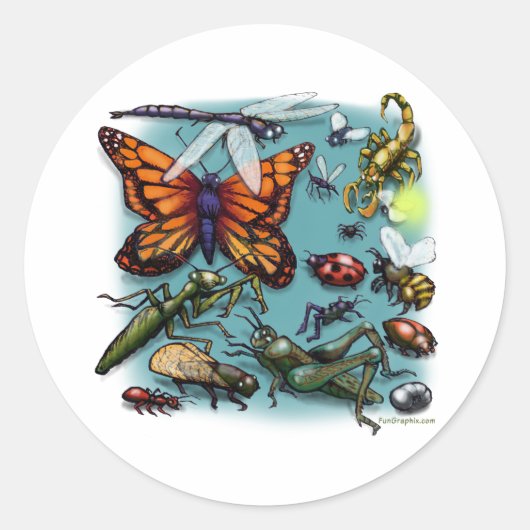 Bug Runder Aufkleber (Vorderseite)