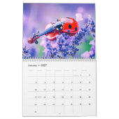 Bug Symphony – Musical Insects in Bloom 2026 Kalender (Jan 2027)