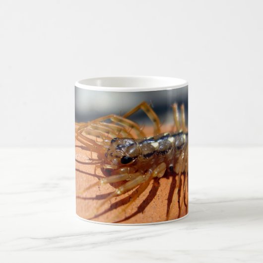Bug-Tasse Kaffeetasse (Mittel)
