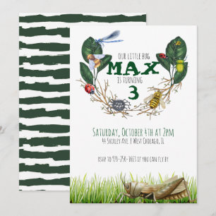 Bug Themed Birthday Party Einladung