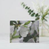 Bug über eine Azalea Postkarte (Stehend Vorderseite)