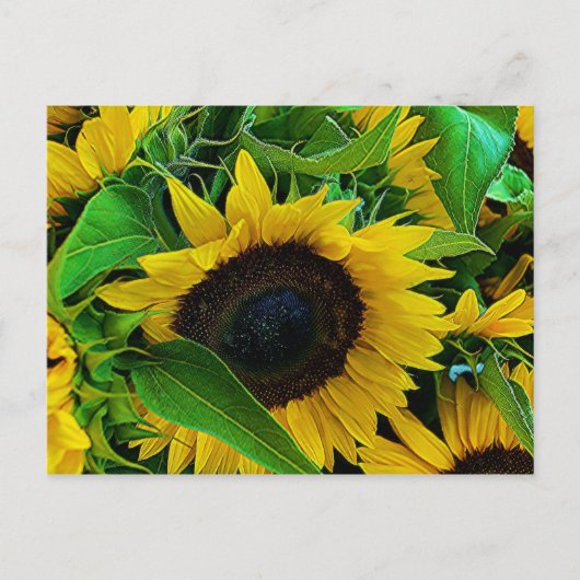 Bügeleisen Postkarte (Vorderseite)