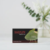 BugFish Fotografy Bug Template Visitenkarte (Stehend Vorderseite)