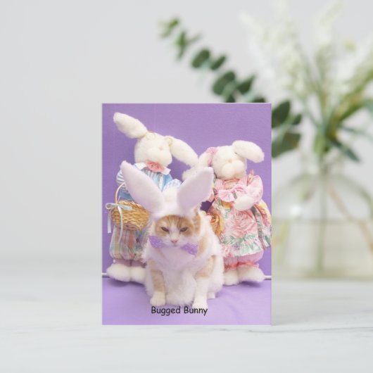 Bugged Bunny Postkarte (Stehend Vorderseite)