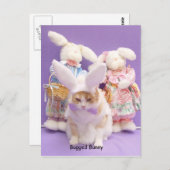 Bugged Bunny Postkarte (Vorne/Hinten)