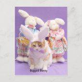 Bugged Bunny Postkarte (Vorderseite)