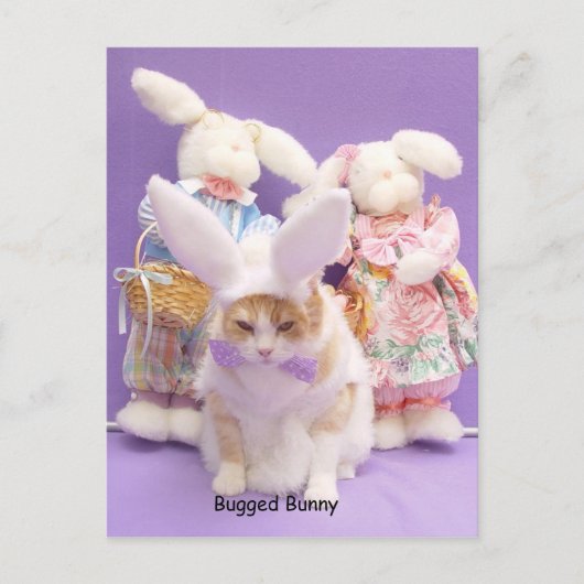 Bugged Bunny Postkarte (Vorderseite)