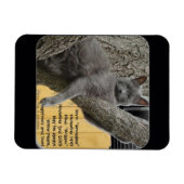 Bugger Baby 1997 bis 2015 Magnet (Horizontal)