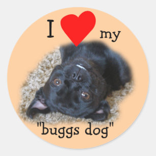 Buggs Dog Sticker für Ihr Bild oder meins