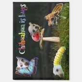 Buggs Magnet (Vorderseite)
