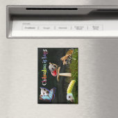 Buggs Magnet (In Situ (Geschirrspüler))