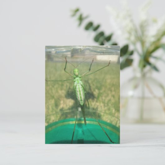 Buggy 1 - Erziehungsbrainfart Postkarte (Stehend Vorderseite)