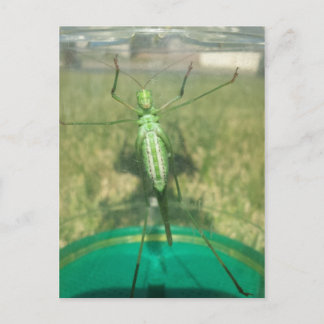 Buggy 1 - Erziehungsbrainfart Postkarte