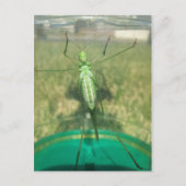 Buggy 1 - Erziehungsbrainfart Postkarte (Vorderseite)