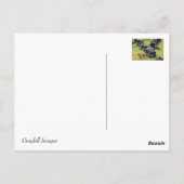 Buggy Parkplatz Lot Postkarte (Rückseite)