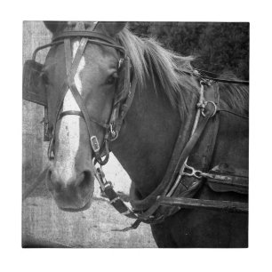 Buggy Pferd am Hitching Post Fliese