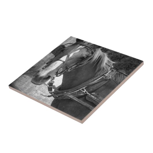 Buggy Pferd am Hitching Post Fliese (Seite)