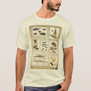 Buggy-T - Shirt - wissenschaftliche Illustrationen