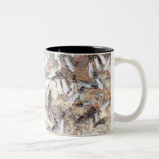 Buggy Tasse